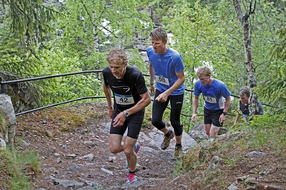 Mesnaelva opp
